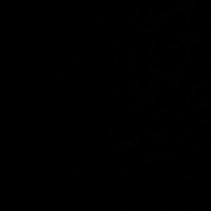 Meet your Posher, Gladysmar